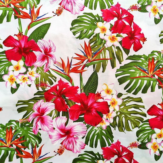 Détail motif Hibiscus rouge rose Tipanié blanc jaune Oiseaux de Paradis orange sur fond blanc 100% coton