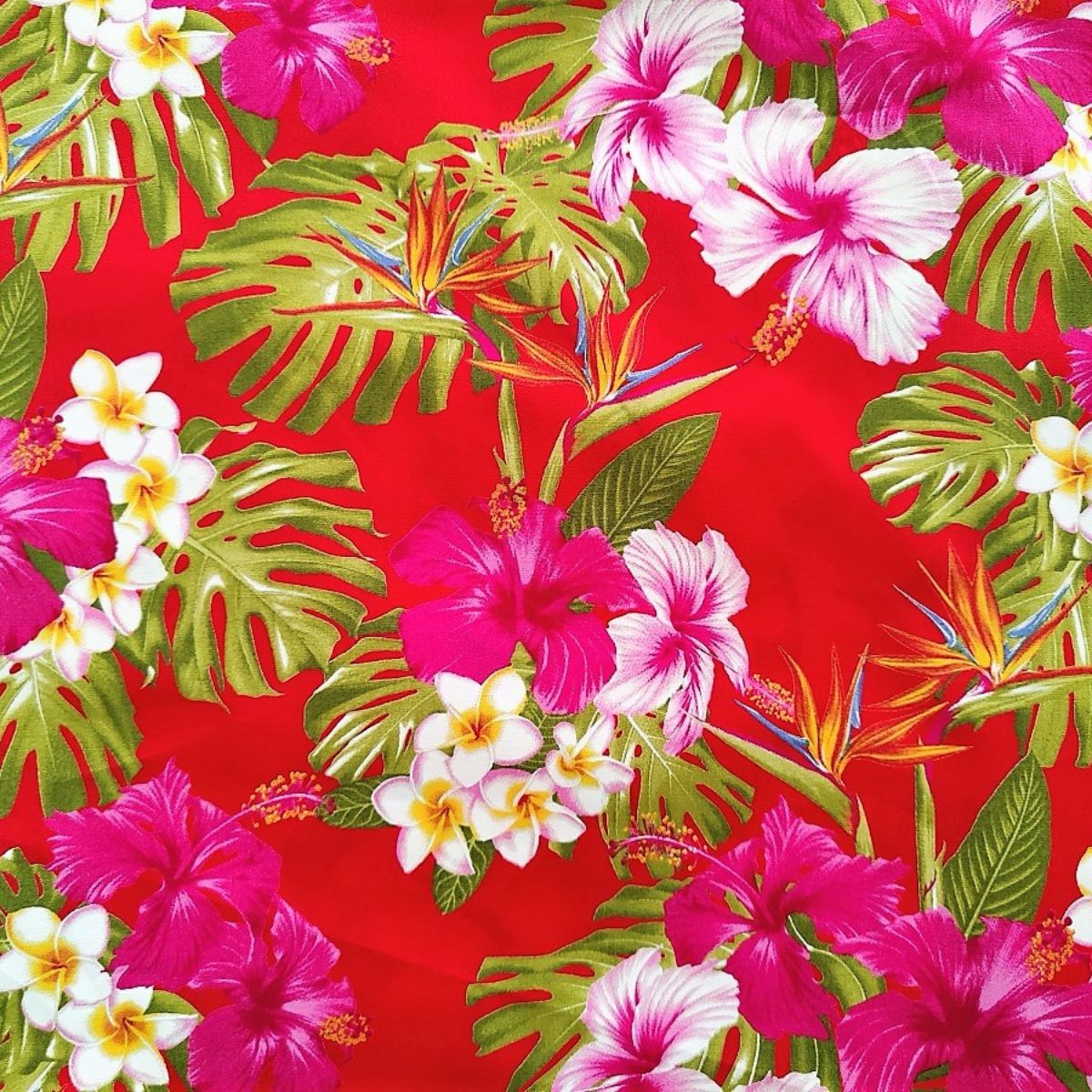 Détail motif Hibiscus rose Tipanié blanc jaune Oiseaux de Paradis orange sur fond rouge 100% coton