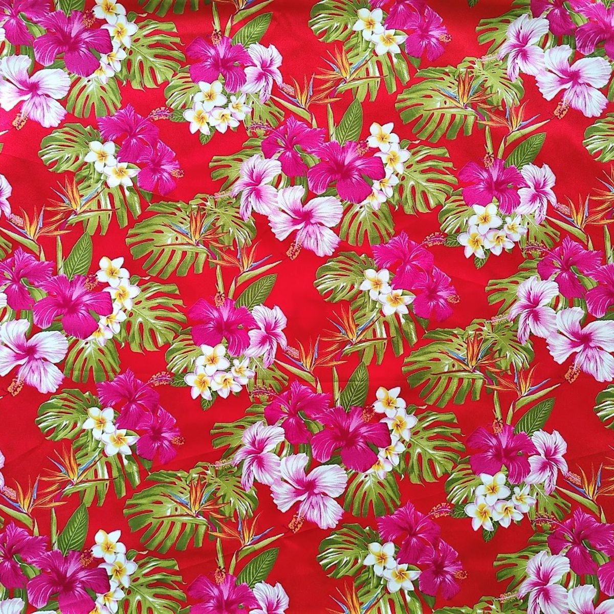 Tissu coton Hibiscus Tipanié Oiseaux de Paradis rouge vert motifs floraux polynésiens Couleurs du Fénua